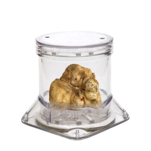 A1768S00 TRUFFLE CONTAIINER CLEAR 7.8cm Tuberpack®