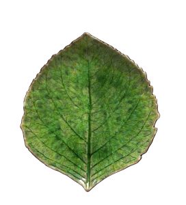 RIVIERA Hydrangea leaf 17X15cm STONEWARE COSTA NOVA