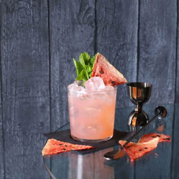 FRONA Dried WATERMELON Slices 100GR - Image 4